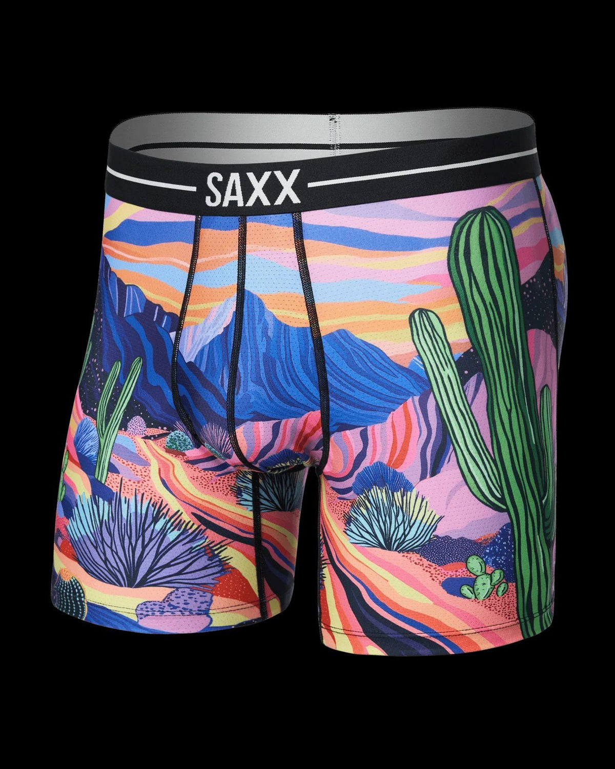 Sous-vêtement SAXX (MULTI - 262465) MODÈLE: SXBB85-PPM