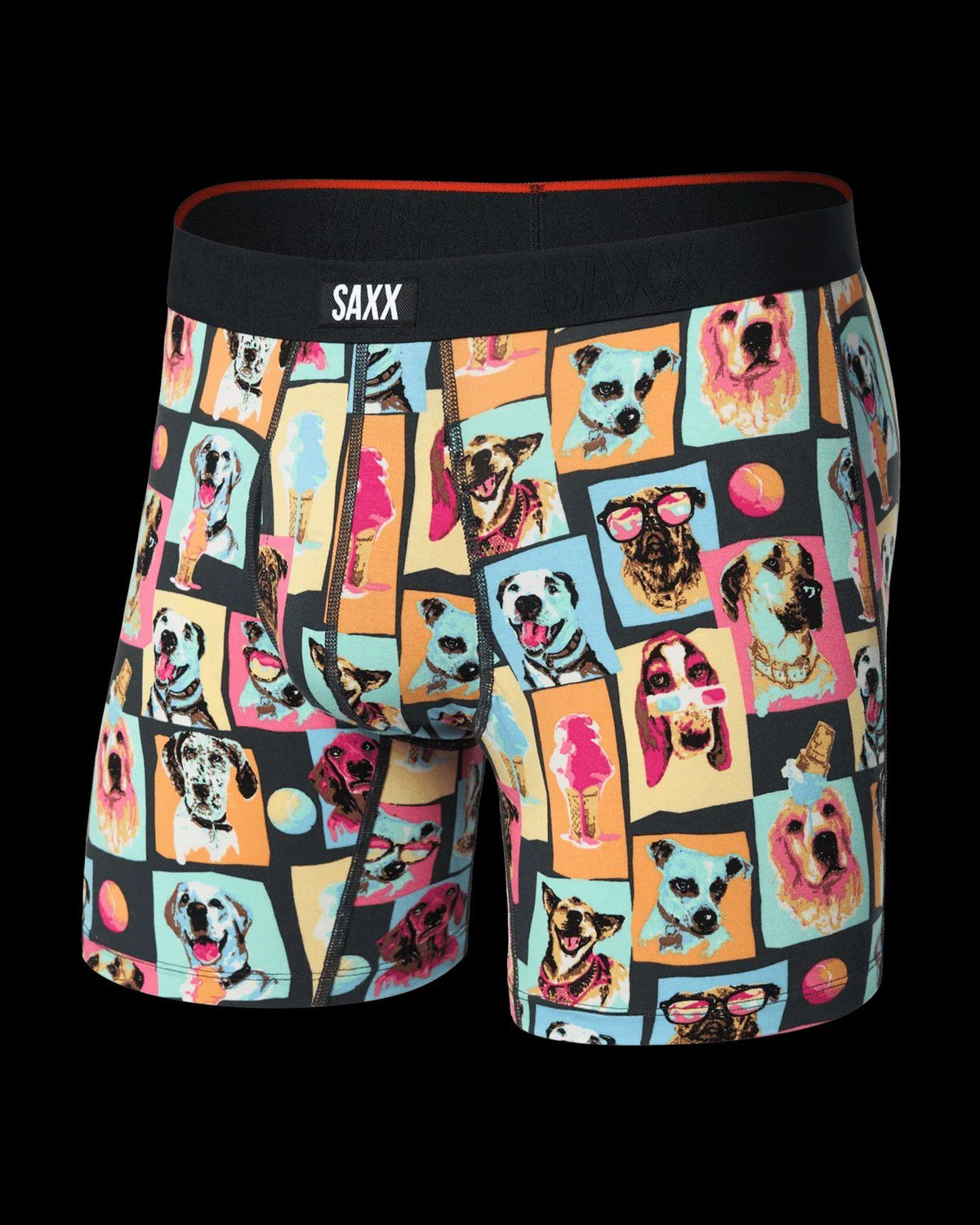 Sous-vêtement SAXX (MULTI - 262455) MODÈLE: SXVX24F-SDS